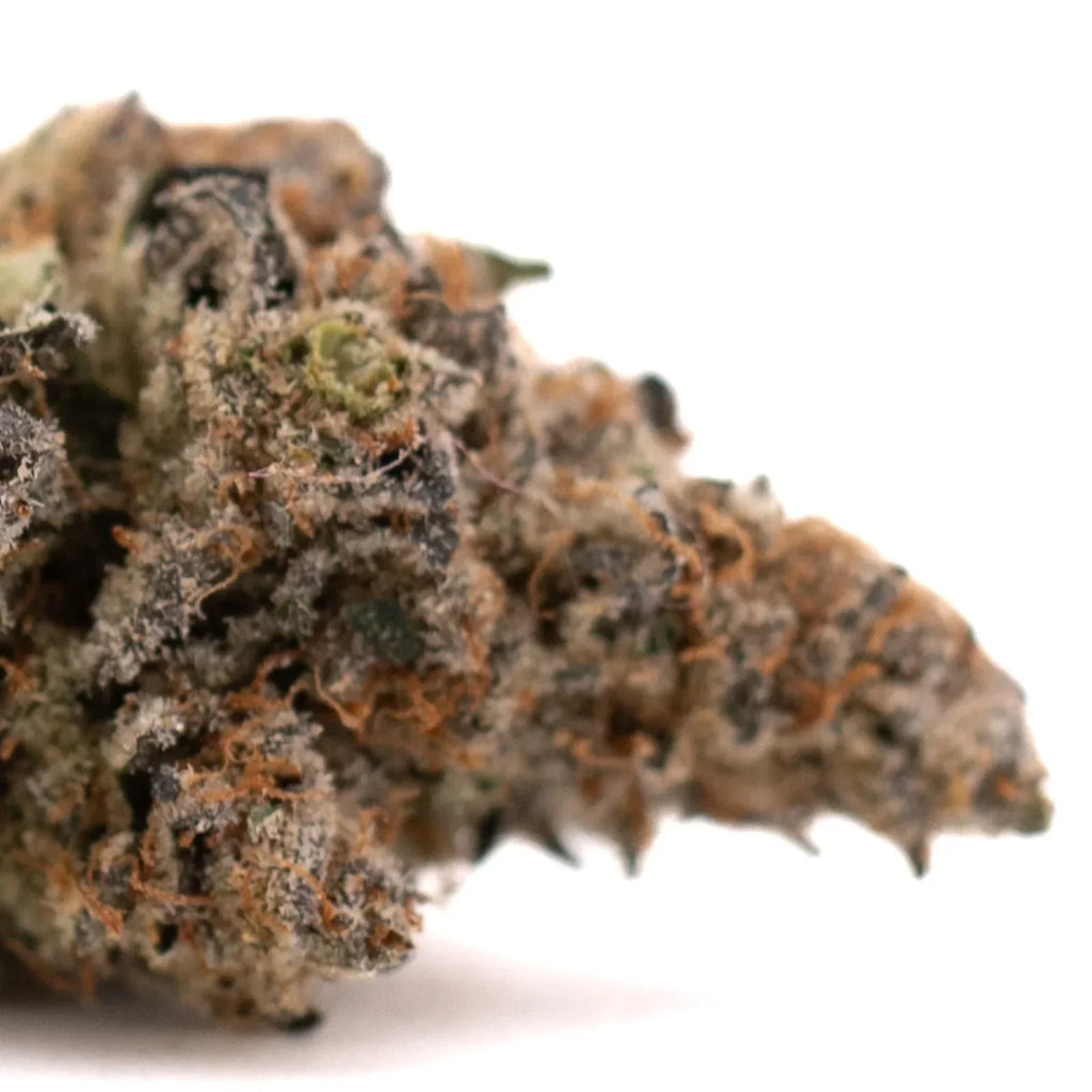 Dense raspberry Runtz THCA flower bud with trichomes, premium hemp flower for sale