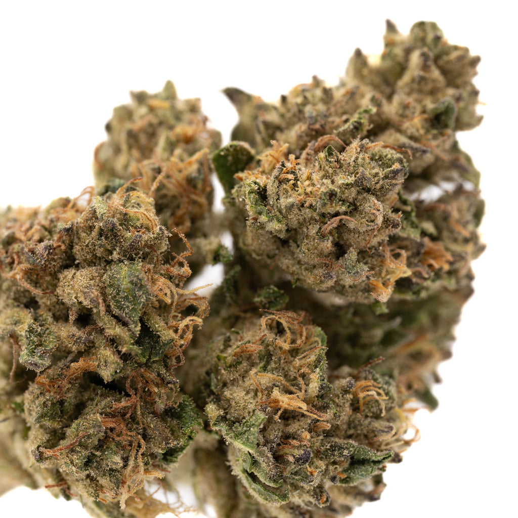 Runtz THCa Hemp Flower Greenhouse - Plants