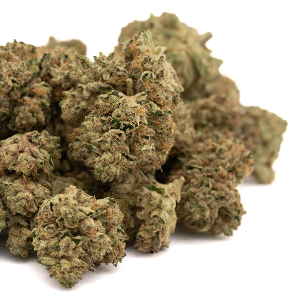 Runtz THCa Hemp Flower Greenhouse - Plants