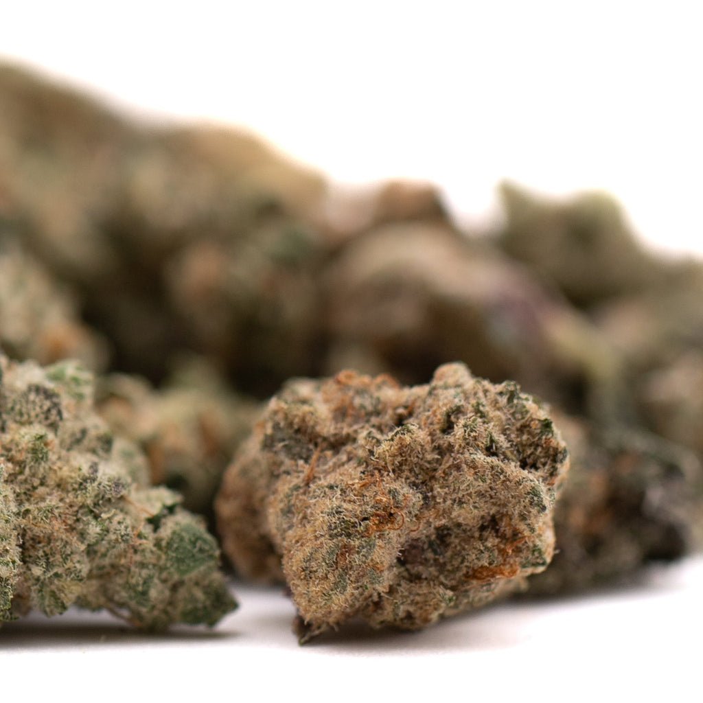 Dried Sour Candy THCa Flower Smalls with trichomes and orange hairs