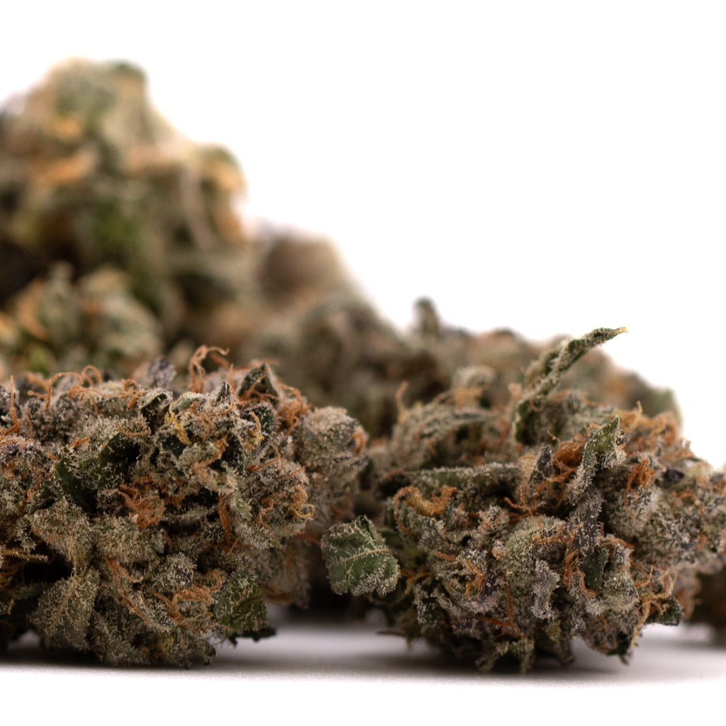 Dried Sour Runtz Indoor THCa Flower buds showing rich colors and trichomes