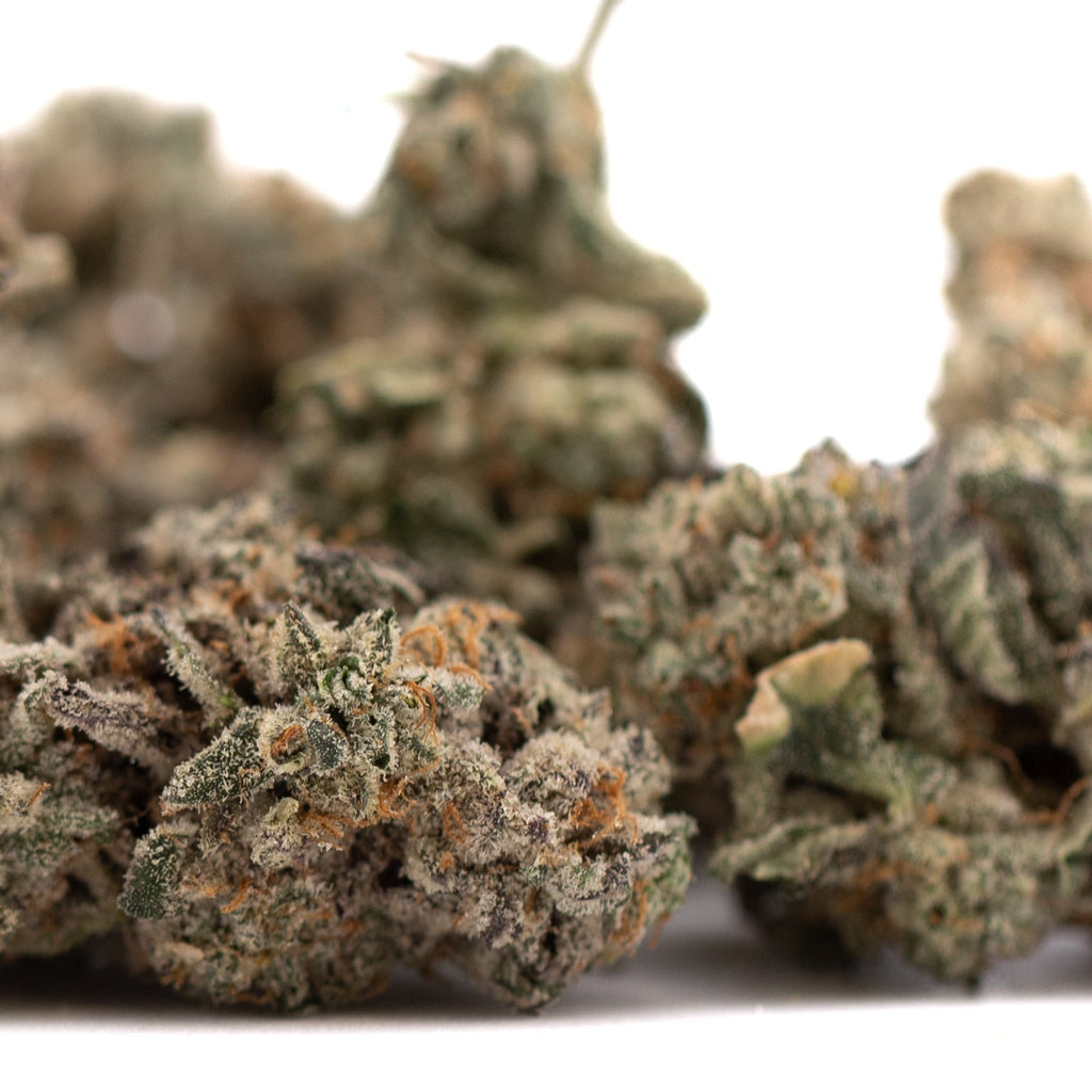 Several dried Street Tarts THCa flower buds on white background for wholesale hemp flower