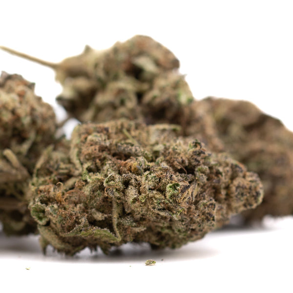 Studio 54 THCa Hemp Flower: Dense trichome bud with earthy tones and bright energy