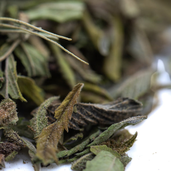 Sage green aromatic dried hemp flower leaves from Zonkers Greenhouse THCa Trim